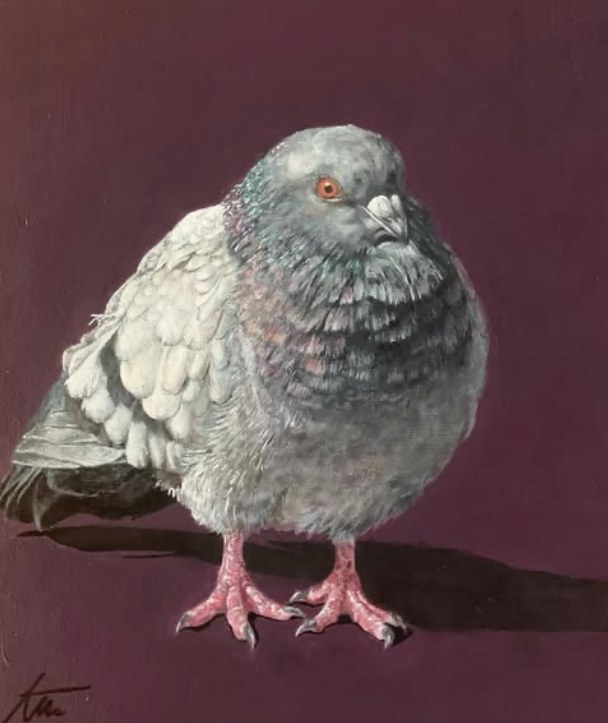 Garry the pigeon on a maroon ground, oil by Aleshanee Karan